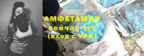 твердый Алзамай