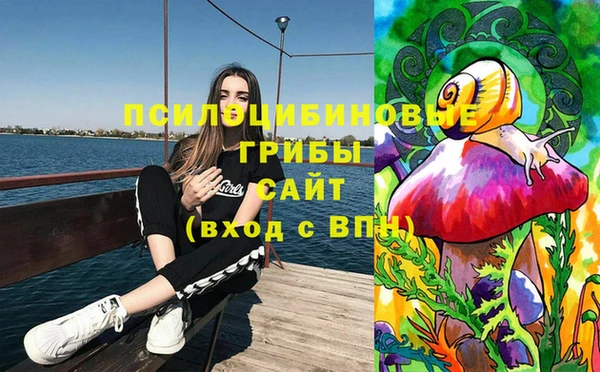 тгк Алексин