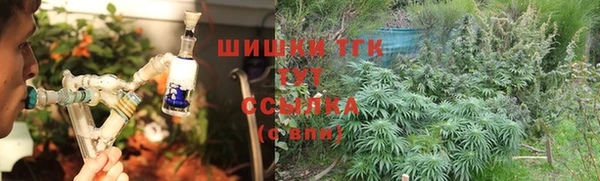 твердый Алзамай