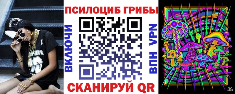 omg как войти  Дзержинск  Галлюциногенные грибы прущие грибы  как найти закладки 